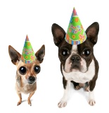 Birthday Projector Rental